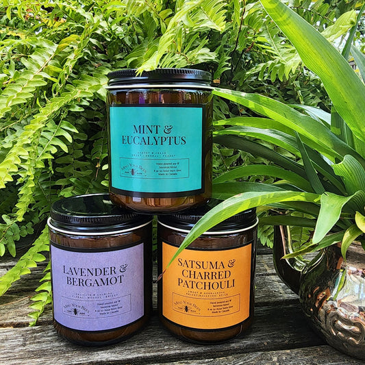 Mid-Summer Candle Trio
